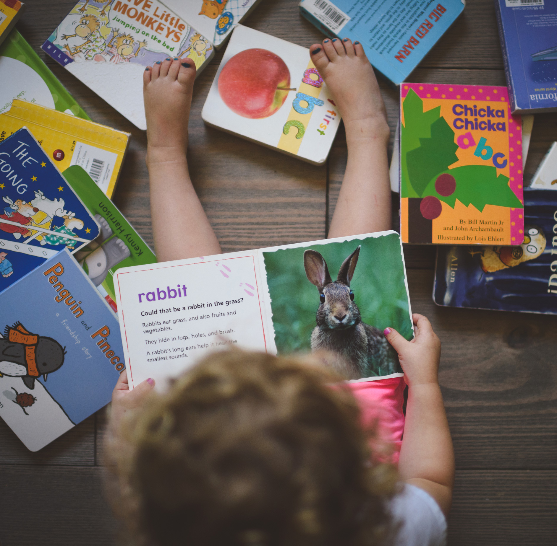 Preschool Preschool